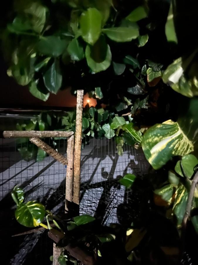 Vila Dos Gnomos Paraiso Mistico Pe Na Areia Ilhéus المظهر الخارجي الصورة